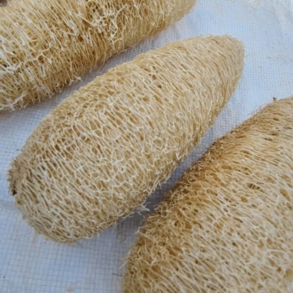 Loofah Scrubber – For Skin Cleansing and Exfoliation