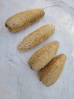 Natural Loofah Scrubber – For Skin Cleansing and Exfoliation