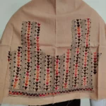 Cream Colour Kantha Stitch Blouse