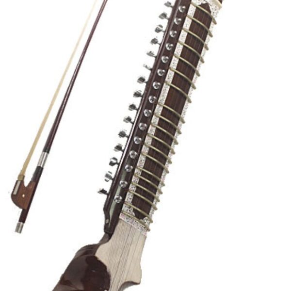 Professional Quality Esraj Indian Classical Musical