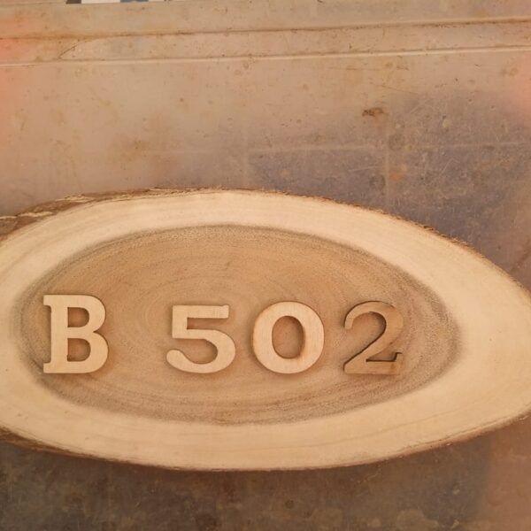 House number plaque with carved wooden lettering (B 520)